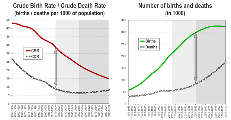 Africa: Crude birth and death rates, 1950-2100